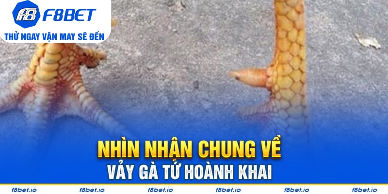 Có nên lựa chọn kê có vảy tứ hoành khai hay không?