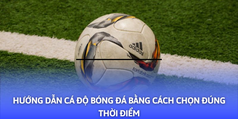 Vào tiền đúng thời điểm sẽ giúp tối ưu hóa lợi nhuận